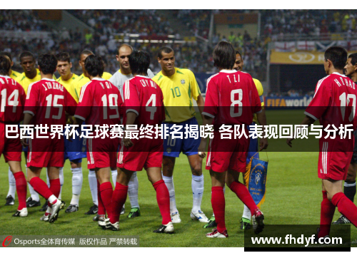 巴西世界杯足球赛最终排名揭晓 各队表现回顾与分析