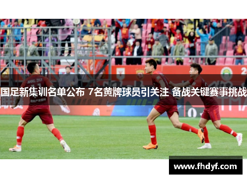 国足新集训名单公布 7名黄牌球员引关注 备战关键赛事挑战