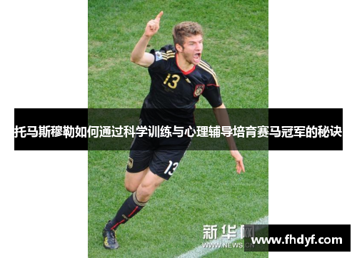 托马斯穆勒如何通过科学训练与心理辅导培育赛马冠军的秘诀