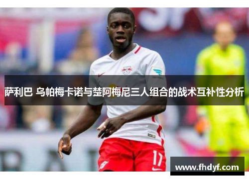 萨利巴 乌帕梅卡诺与楚阿梅尼三人组合的战术互补性分析